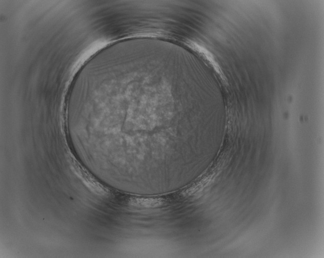 X0000087371427200705181205