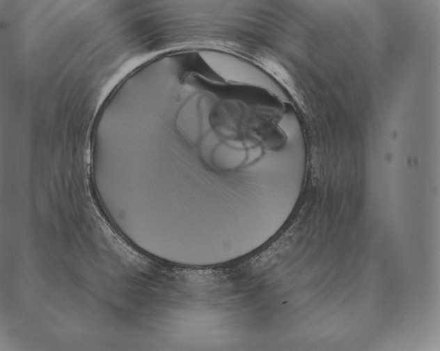 X0000087371428200705181205