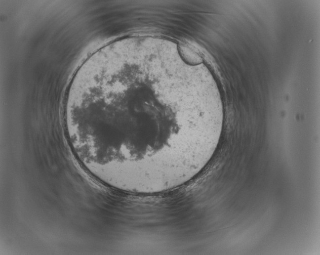 X0000087371429200705181205