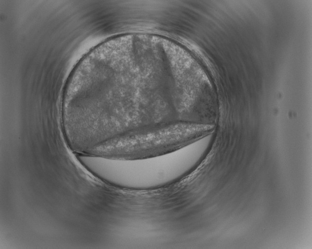 X0000087371432200705181205