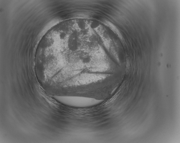 X0000087371435200705181205