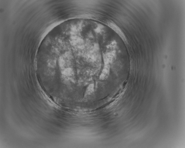 X0000087371436200705181205