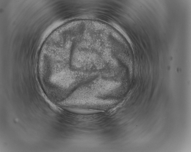 X0000087371437200705181205