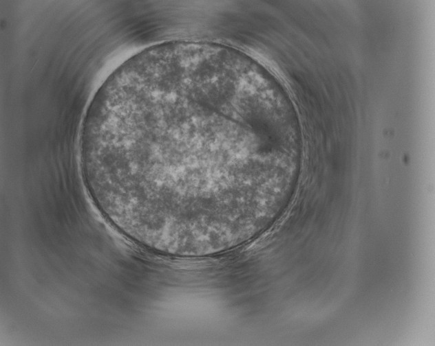 X0000087371440200705181205