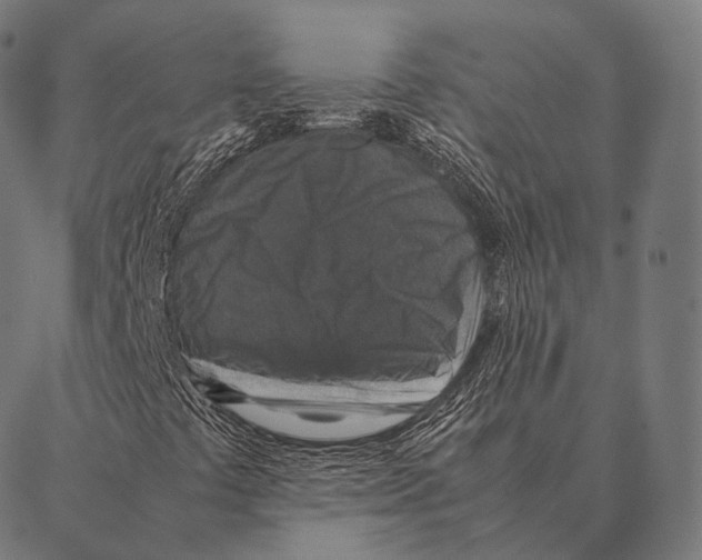 X0000087371441200705181205