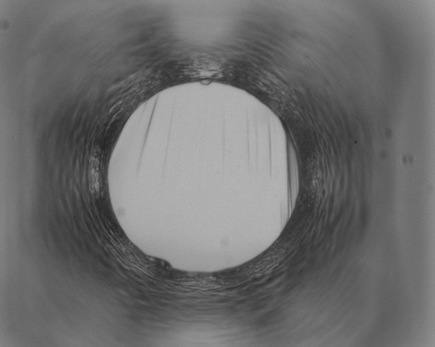 X0000087371442200705181205