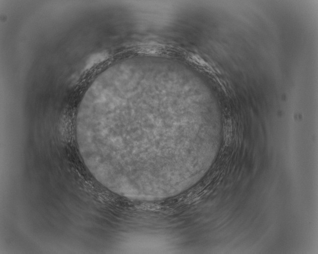 X0000087371446200705181204