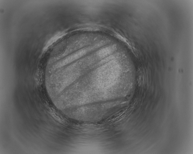 X0000087371448200705181204