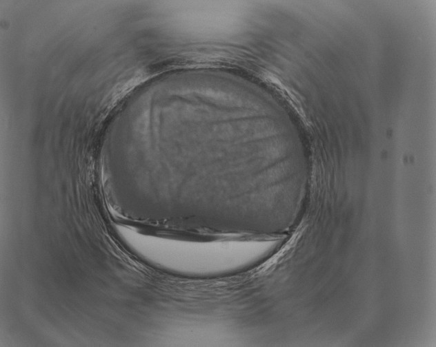 X0000087371449200705181204