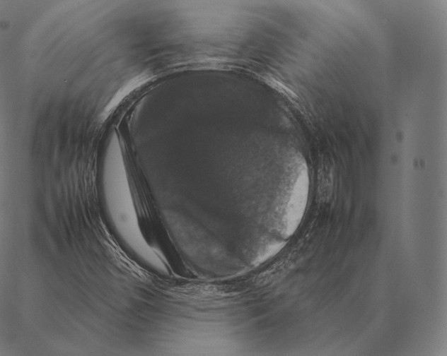 X0000087371450200705181204