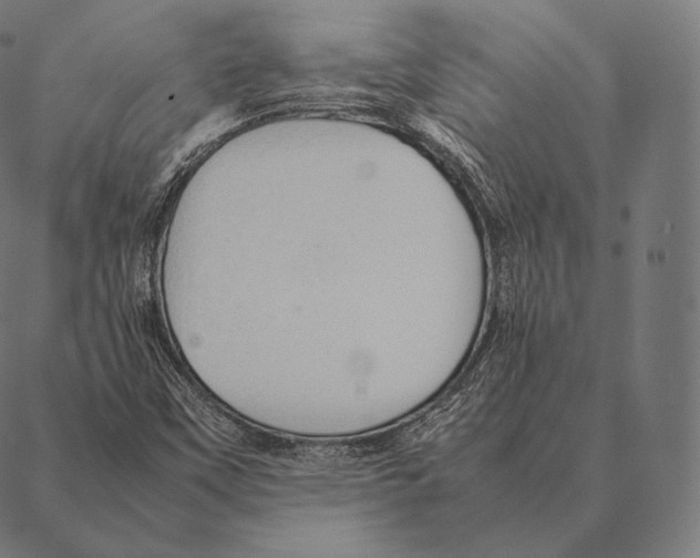 X0000087371451200705181204