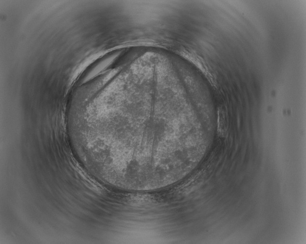 X0000087371452200705181204