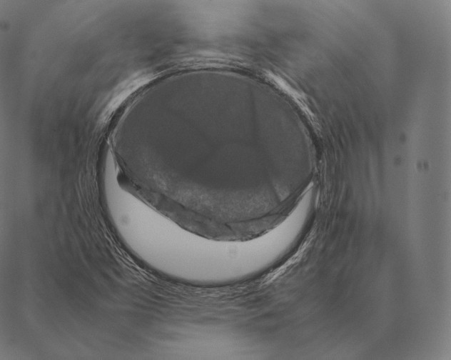 X0000087371453200705181204