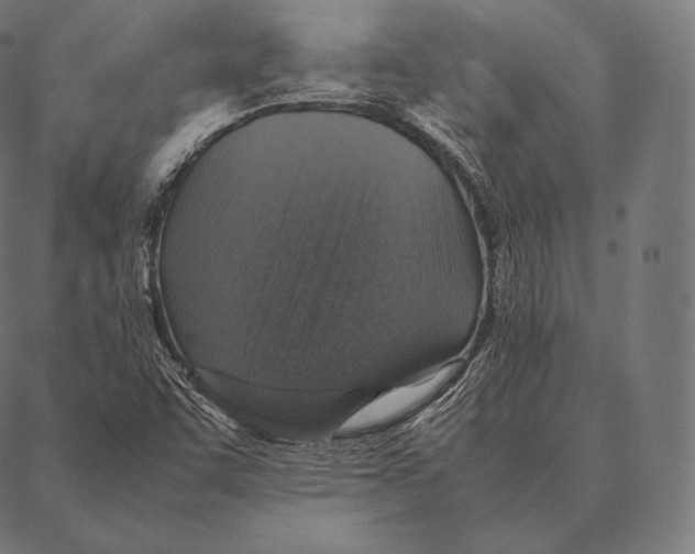 X0000087371455200705181204