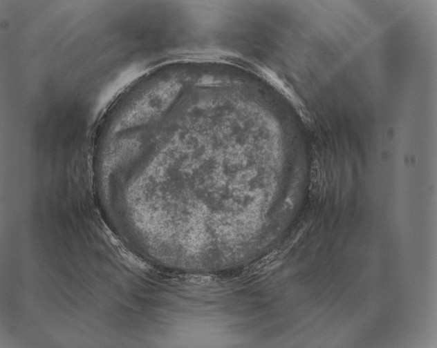 X0000087371456200705181204