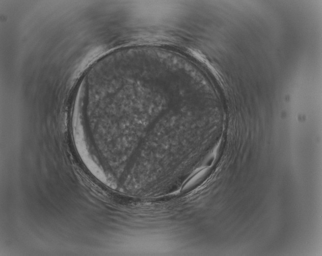 X0000087371459200705181204