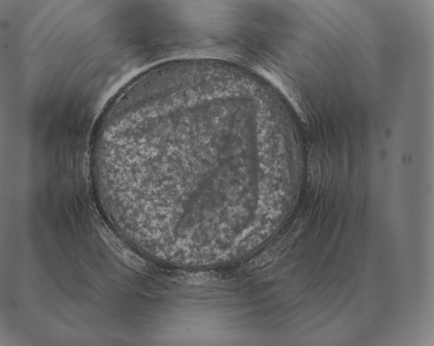 X0000087371460200705181204