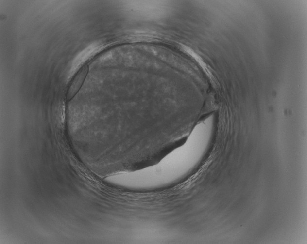 X0000087371461200705181204