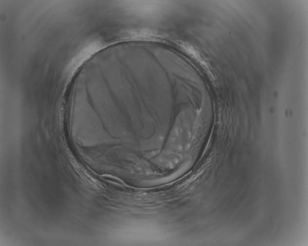 X0000087371463200705181204