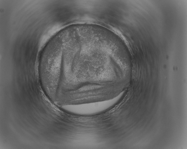 X0000087371464200705181204