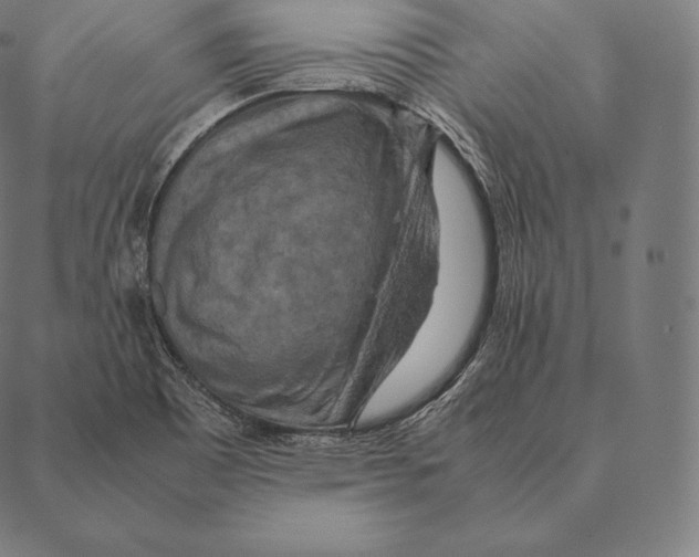 X0000087371465200705181204