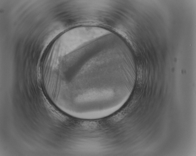 X0000087371466200705181204