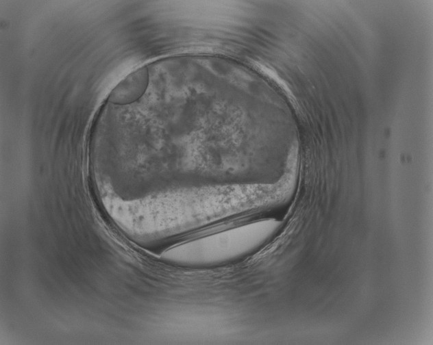 X0000087371467200705181204