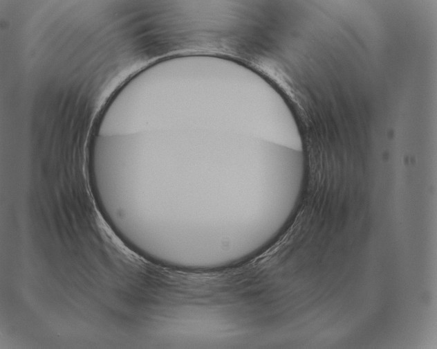 X0000087371468200705181204