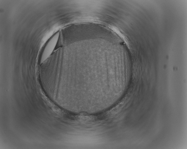 X0000087371469200705181204