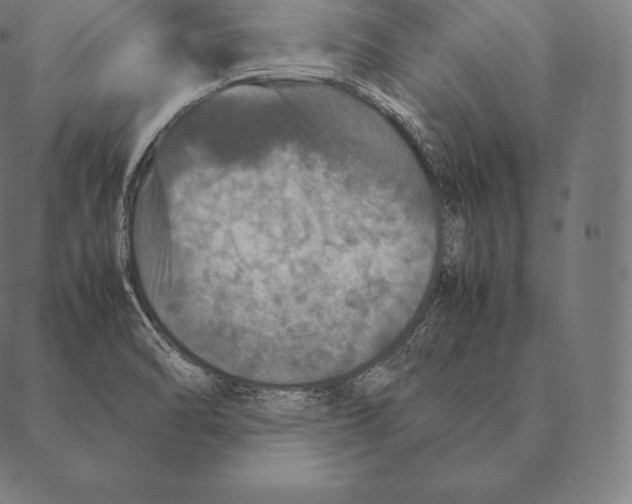 X0000087371470200705181204