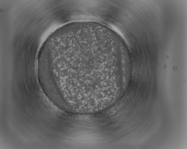 X0000087371472200705181204