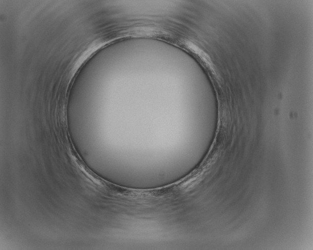 X0000087371473200705181204