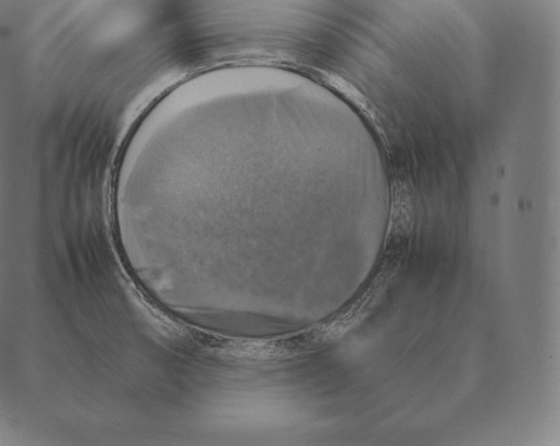 X0000087371474200705181204