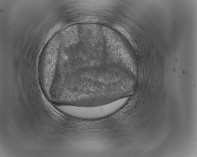 X0000087371475200705181204