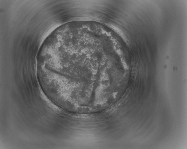 X0000087371476200705181204