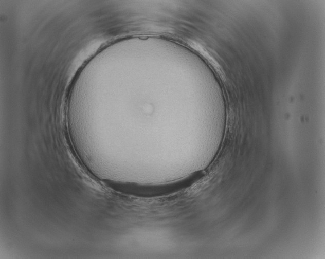 X0000087371477200705181204