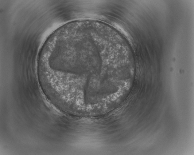 X0000087371480200705181204