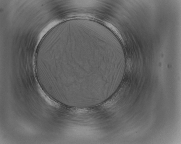 X0000087371482200705181204