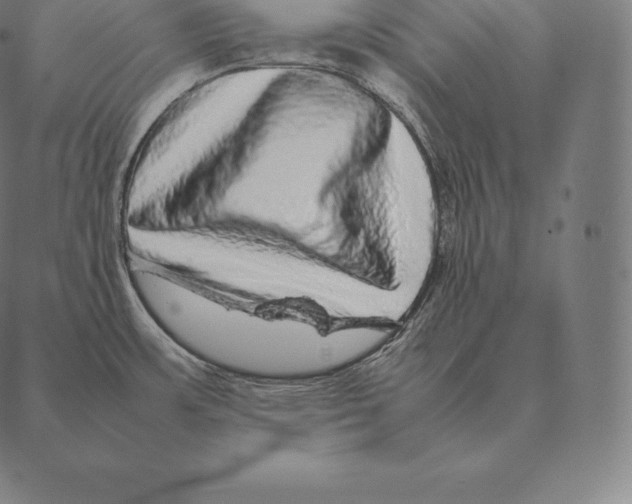 X0000087371483200705181204