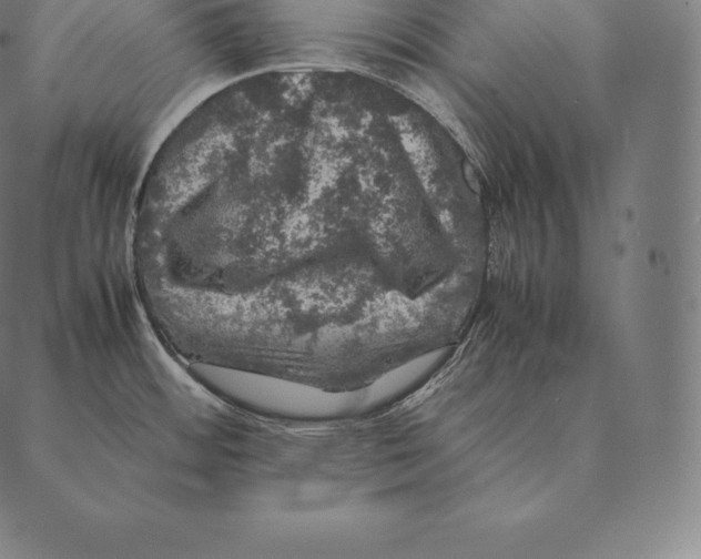 X0000087371484200705181204