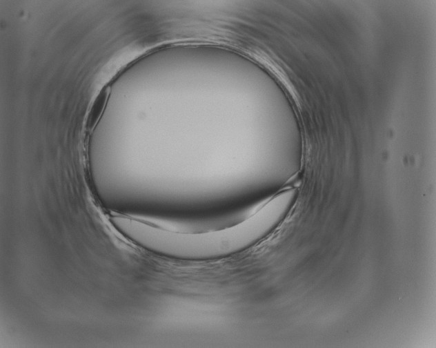 X0000087371485200705181204