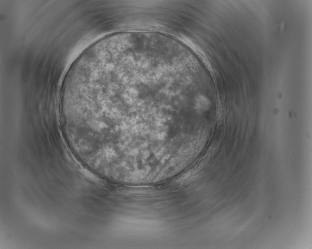 X0000087371486200705181204