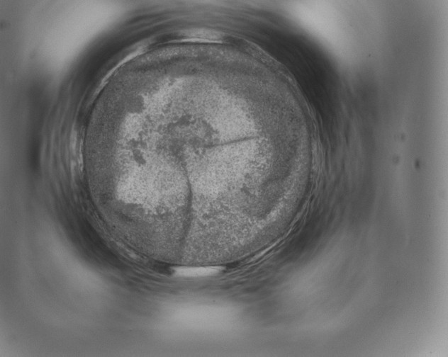 X0000087371487200705181204