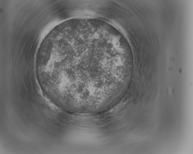 X0000087371488200705181204