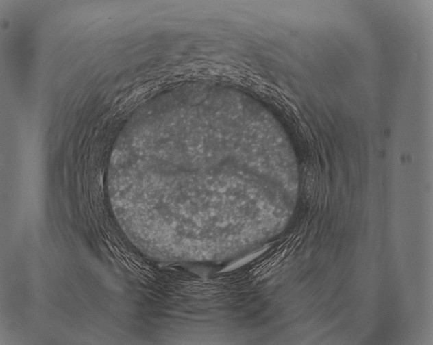 X0000087371489200705181203