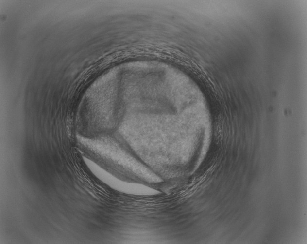 X0000087371490200705181203