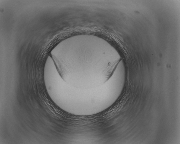 X0000087371492200705181203