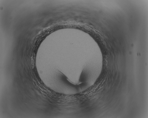 X0000087371493200705181203