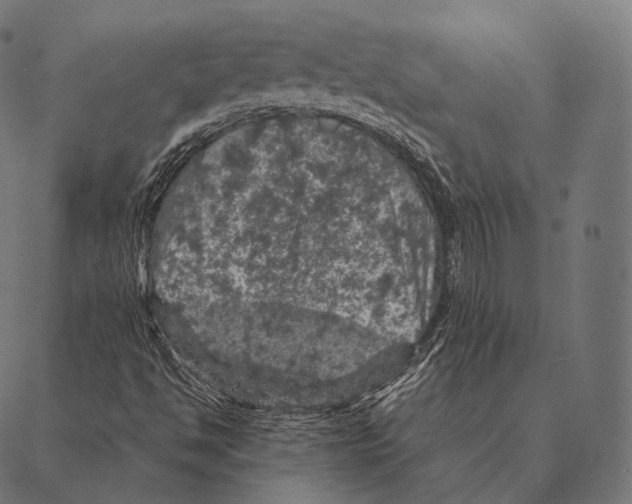 X0000087371494200705181203