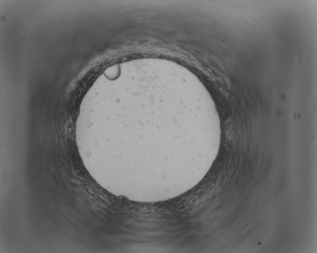 X0000087371495200705181203